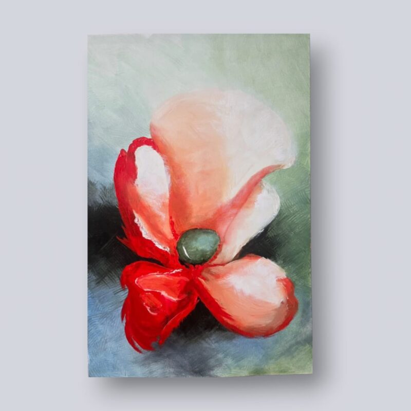 HOLA! AMAPOLA